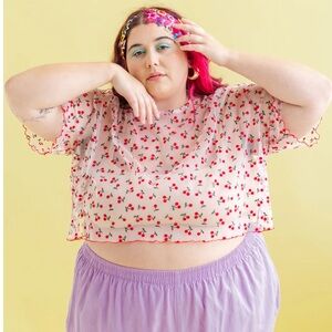 New in Packaging Nettle Studios Boxy Crop in Cherry Mesh